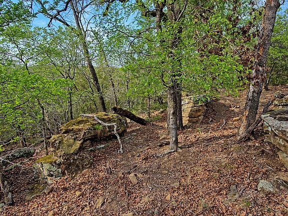 4th image of Horizon Ridge Ct