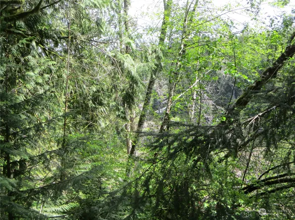 0 E Coon Lake, Belfair, WA 98528