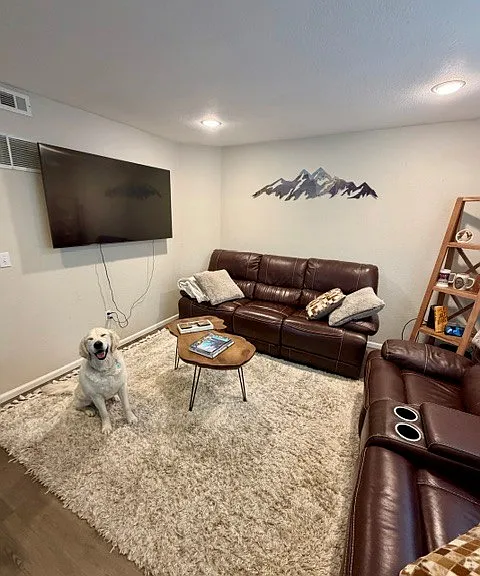 65" big screen use included in rent.