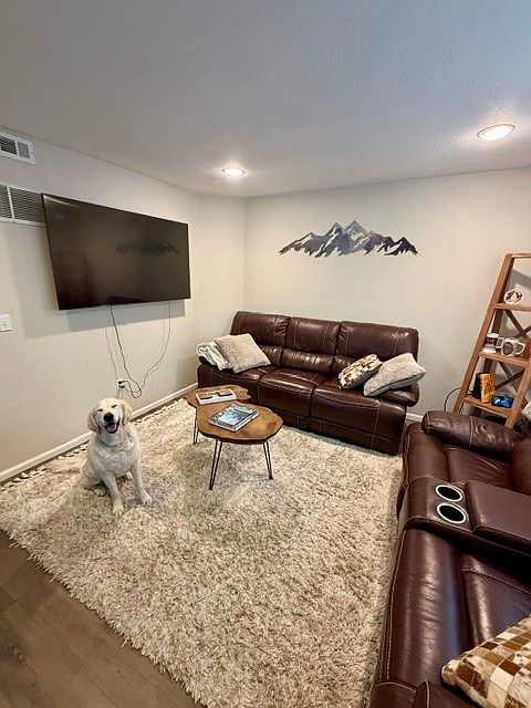 65" big screen use included in rent.