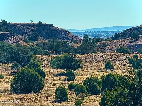 228 County Road 9328 N, Concho, AZ 85924