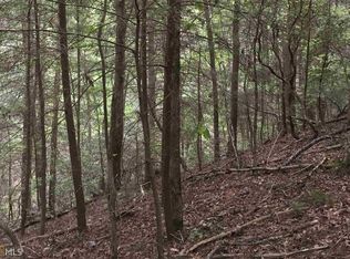 0 Gates Chapel Rd, Ellijay, GA 30540