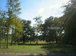 2 Tangerine Rd, Yalaha, FL 34797