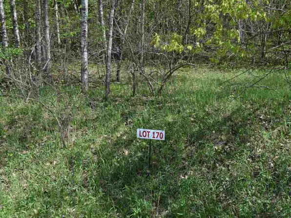LOT 170 Black Forest Dr, La Valle, WI 53941