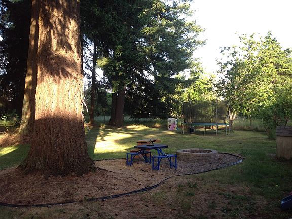 Fire pit in back yard!
