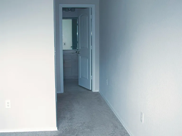 211 Pitkin Dr — Photo 20
