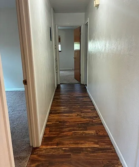 1003 Hall Ave — Photo 9