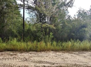 300 Nancy Ln, Ailey, GA 30410