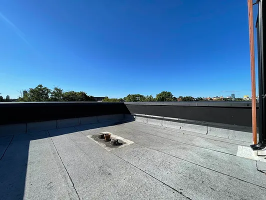 Rented by Native Real Estate LLC | media 9