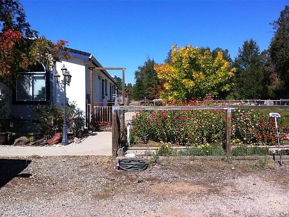 Back door and yard entry