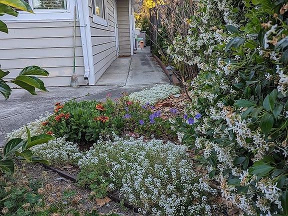 Entryway to front door