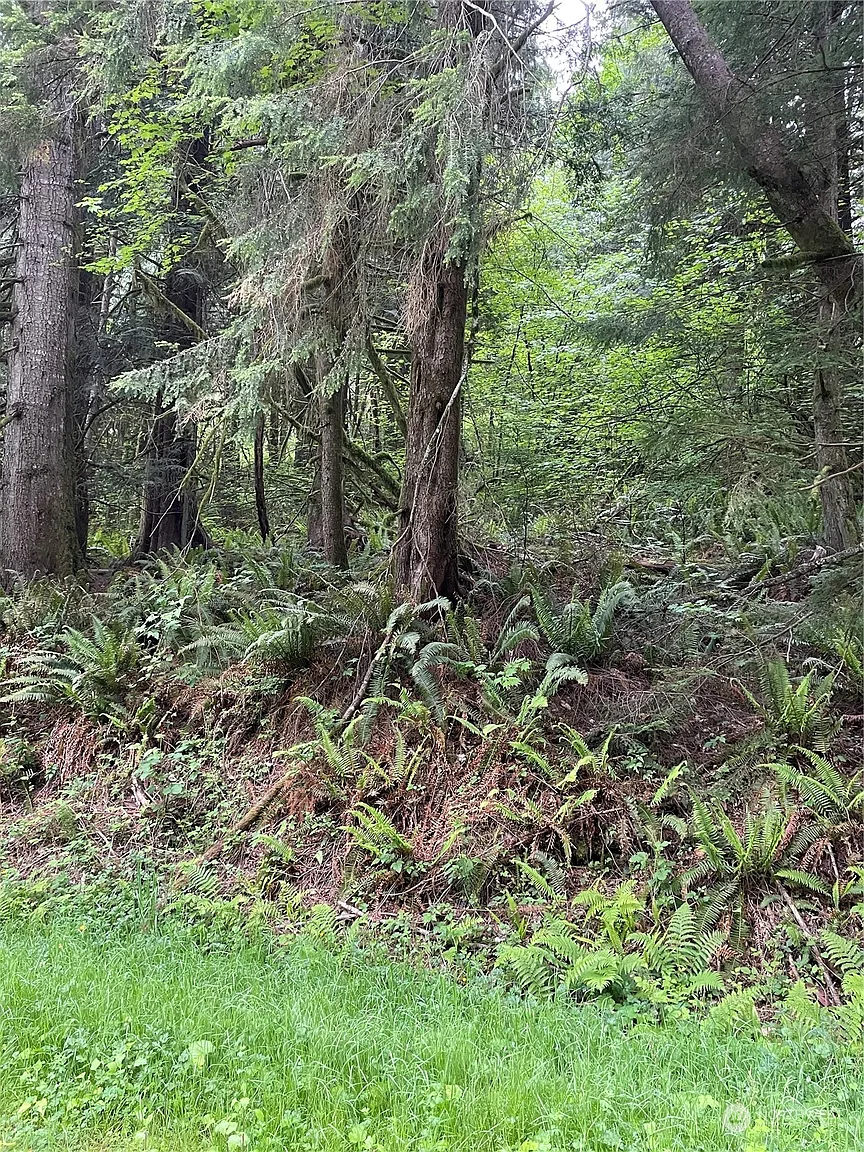 251 Lot 002 Woods Creek Road photo 1