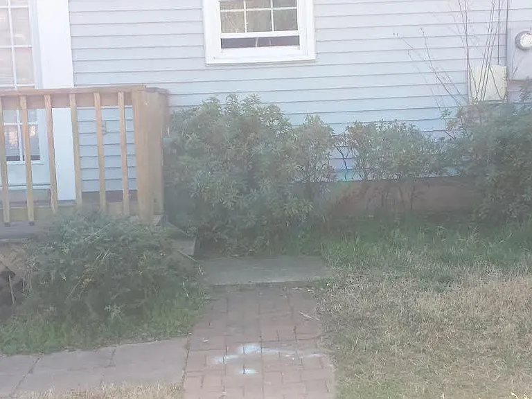 Rear Yard