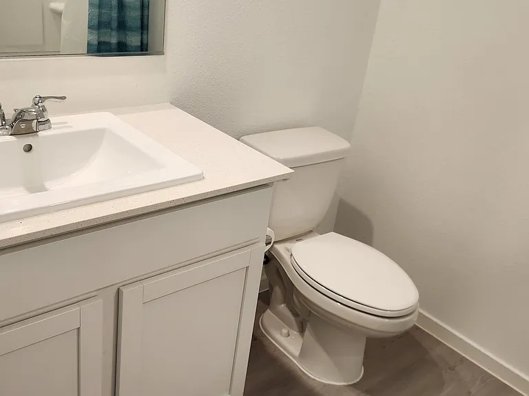 Guest bathroom