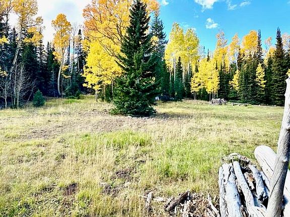 4th image of 411 N Arrowleaf Dr Lot 44-A