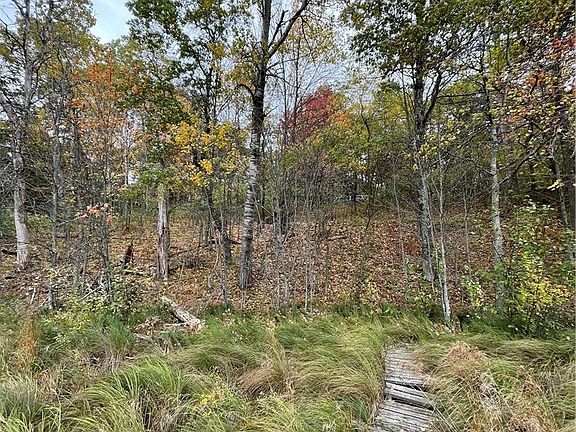 5th image of .72 Acres Loon Lake Rd