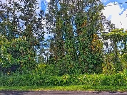1st image of Vista Dr