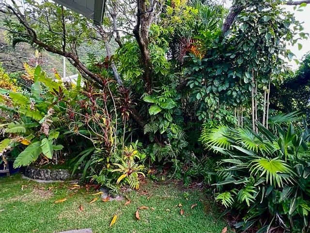 Manoa Rd — Photo 21