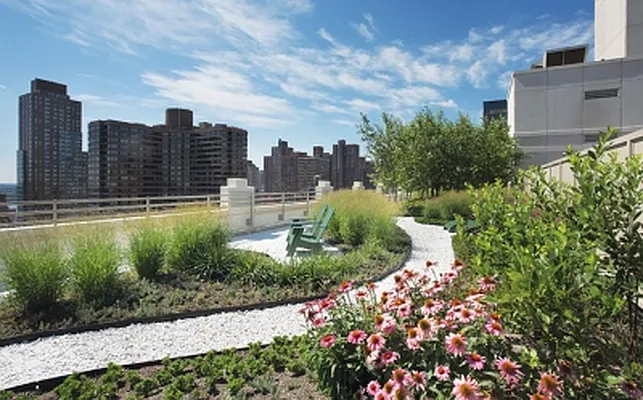 Rented by Citi Habitats | media 10