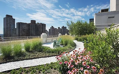 Rented by Citi Habitats