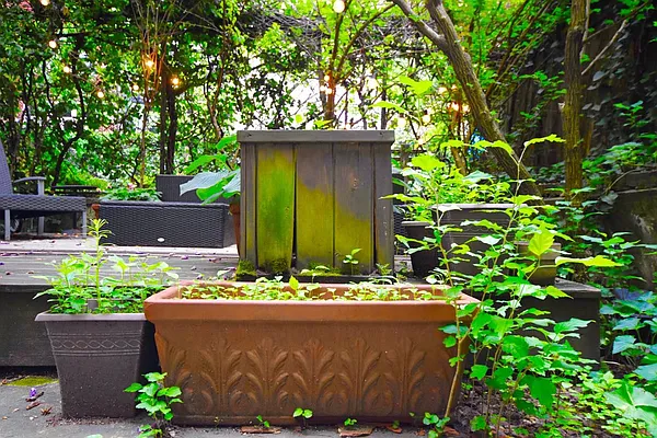 Rented by KYLM, LLC | media 29