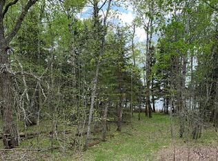 Xxx Two Inlets Dr, Park Rapids, MN 56470