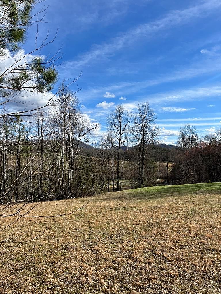 46A Licklog Rdg, Hayesville, NC 28904 | MLS #402055 | Zillow