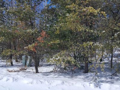 58 Wintergreen Cir, Gladstone, MI, 49837