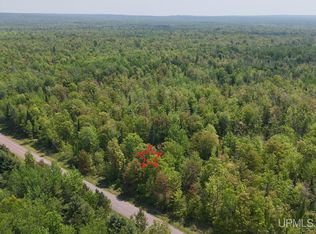 Tbdc Old Rink Rd, Toivola, MI 49965