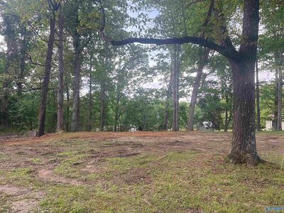 18943 State Highway 33, Moulton, AL, 35650