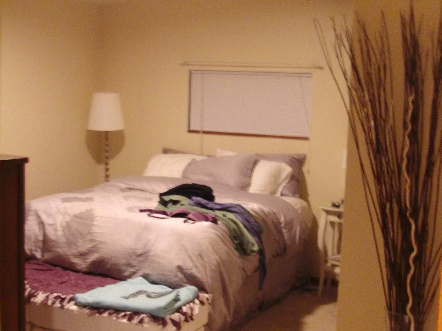2 bed, 2000 sqft, $1,600 — Photo 3