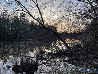 2nd image of 6267 Lake Point Dr