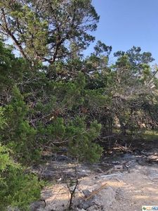 1135 Hedgestone, Canyon Lake, TX, 78133