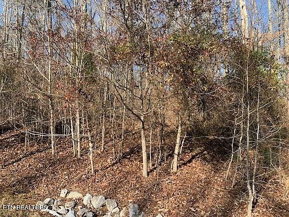 4th image of 0 E Shore Dr Lot 141
