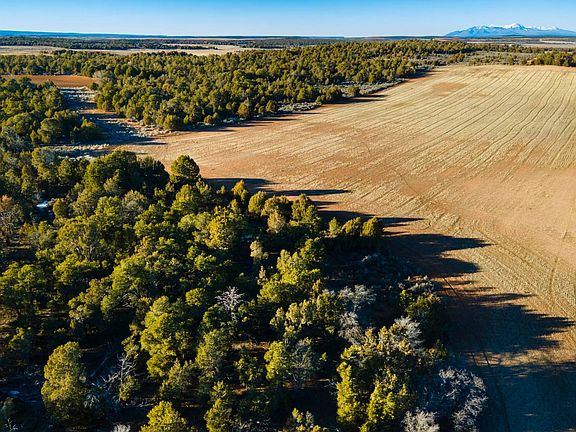 2nd image of 175 E Lockerby