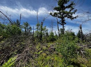 PARCEL 3 S Nelson Rd, Idlewild, MI 49642