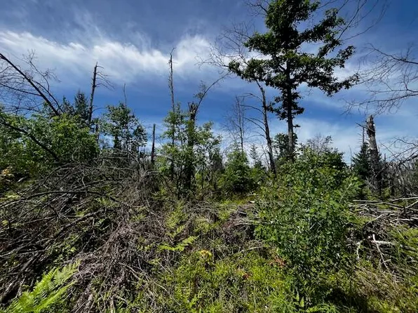 PARCEL 3 S Nelson Rd, Idlewild, MI 49642