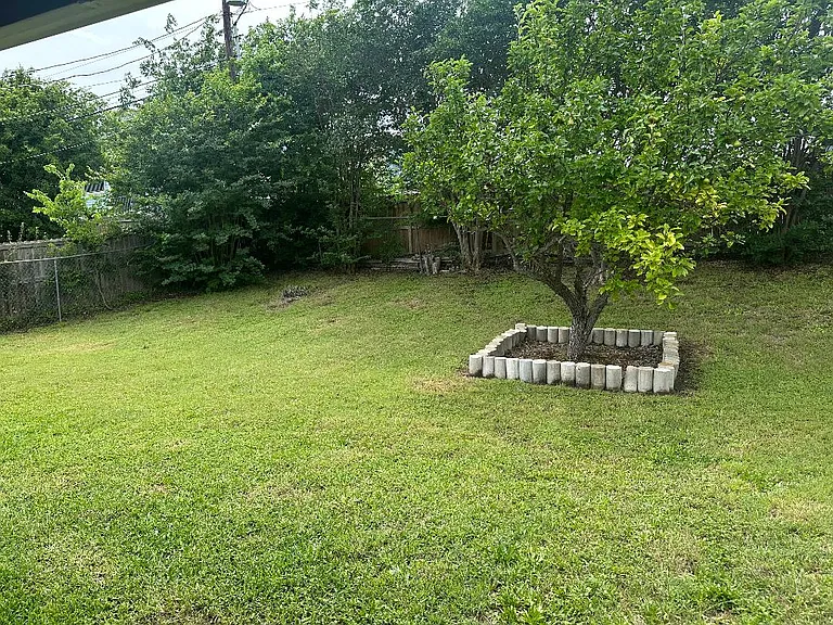BACK YARD