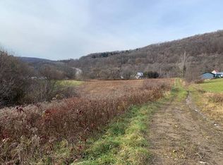 Bidleman Rd, Little falls, NY 13365