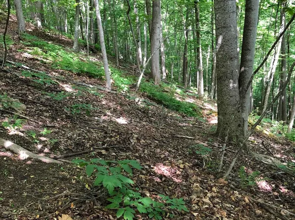 Tbd Walker Hills Trl, Glasgow, VA 24555