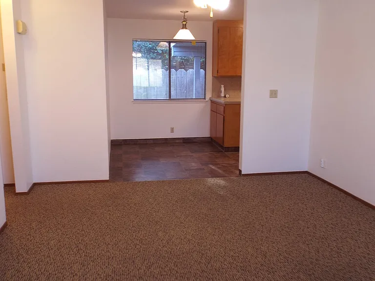 0665 - 965 Cyndi Cir — Photo 3
