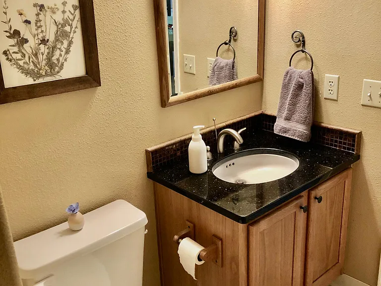 Half bath, connects to the laundry room