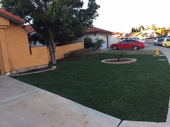 RIGHT FRONT YARD