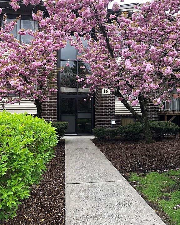 1st image of 184 Country Club Ln