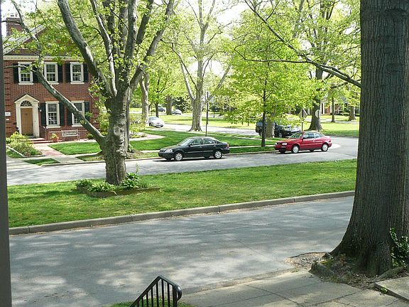 View from front porch 