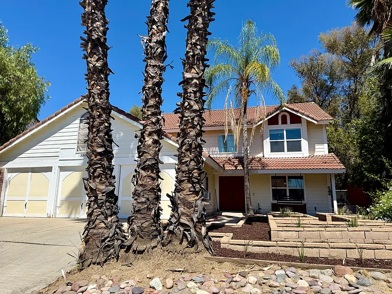 33242 Willow Tree Ln — Photo 17