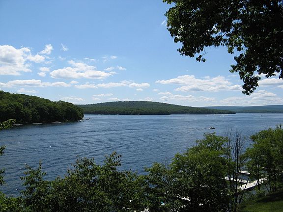 Summer view from deck