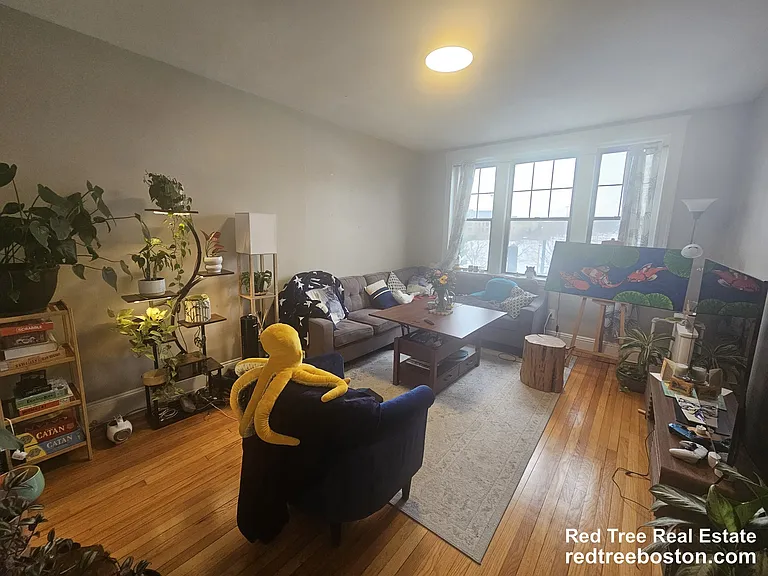 370 Chestnut Hill Ave #35 — Photo 4