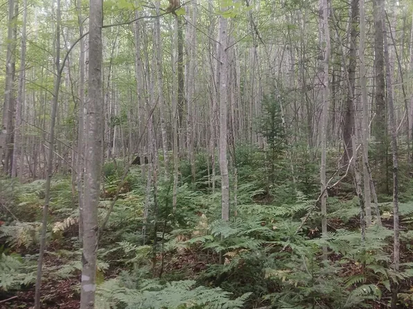 Ruohonen Rd, Houghton, MI 49931