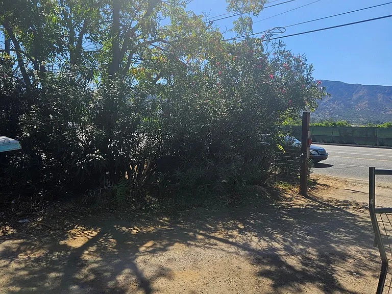 33930 Mission Trl — Photo 9